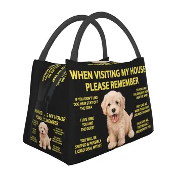  Personalizado Cão Poodle de Sacos de Almoço Homens Mulheres Quente mais fresco Isolado Caixas de Almoço para Piquenique, Camping Viagens de Trabalho